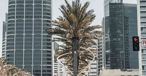 大数据监管的作用（监管大数据应用）