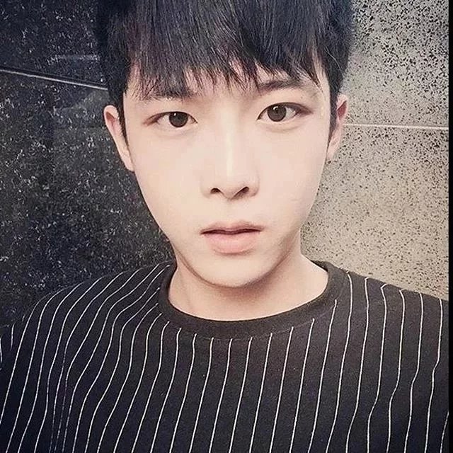 温伊腾鹏