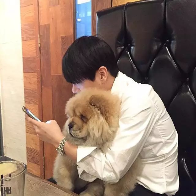 柯鸣毅先