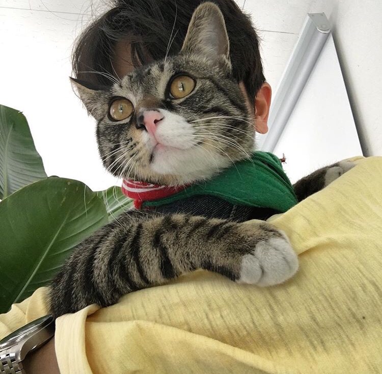 舒宗宗江
