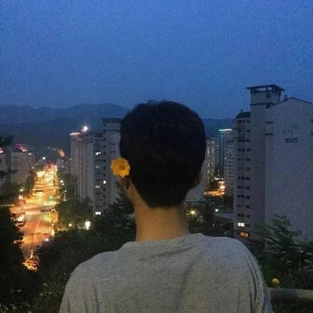陆天武烟