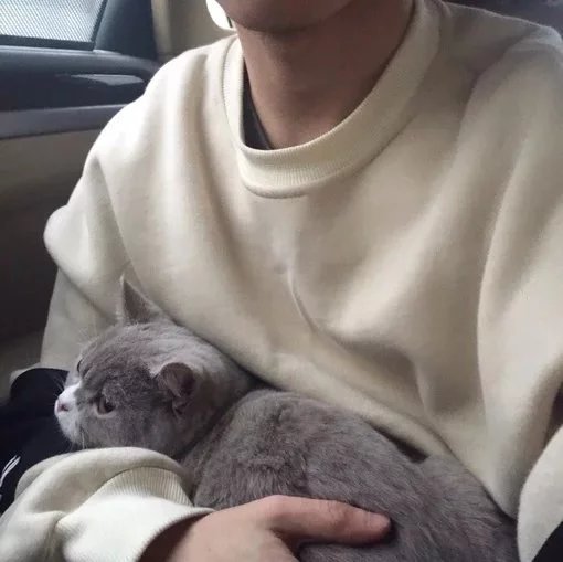 解先婉峰