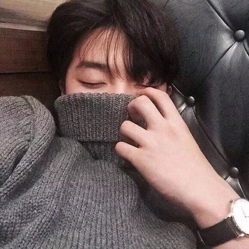 穆进琪菊