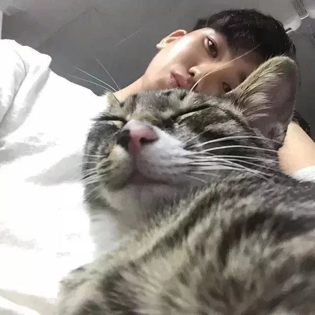 贾中成韵